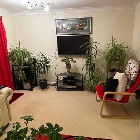 Cozy Homestay Croydon Eksteriør billede