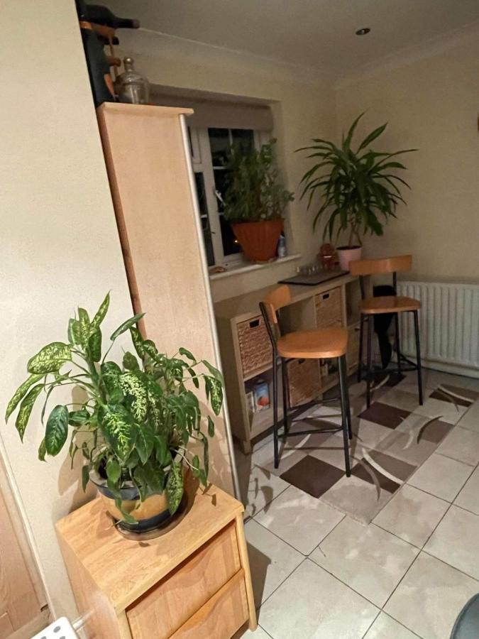 Cozy Homestay Croydon Eksteriør billede