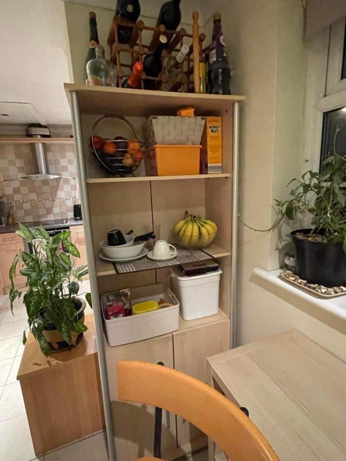 Cozy Homestay Croydon Eksteriør billede