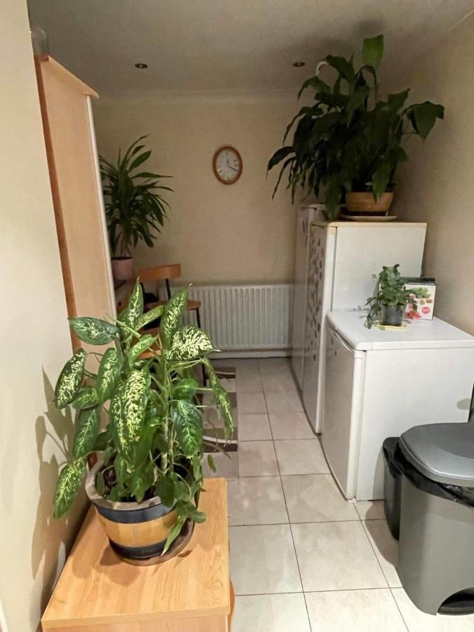 Cozy Homestay Croydon Eksteriør billede